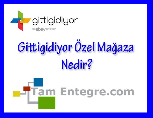 Gittigidiyor Özel Mağaza Nedir?