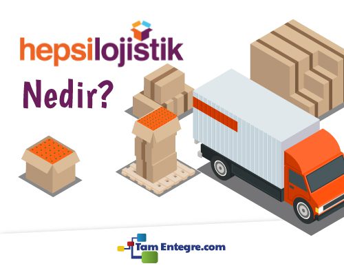 HepsiLojistik Nedir?